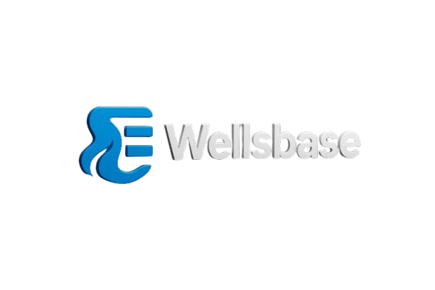 Wellsbase  